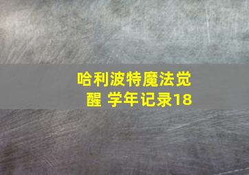 哈利波特魔法觉醒 学年记录18